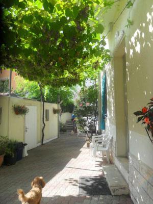 Albergo Villa-Brandi --- Pensione Completa --- Bellaria-Igea Marina Exterior photo